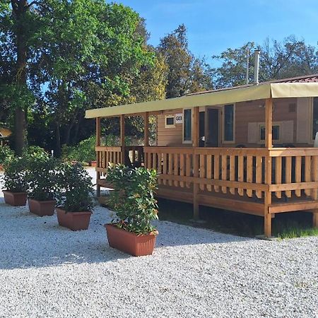 Mobile Home Viareggio - Including Airco- Camping Paradiso - G008 מראה חיצוני תמונה