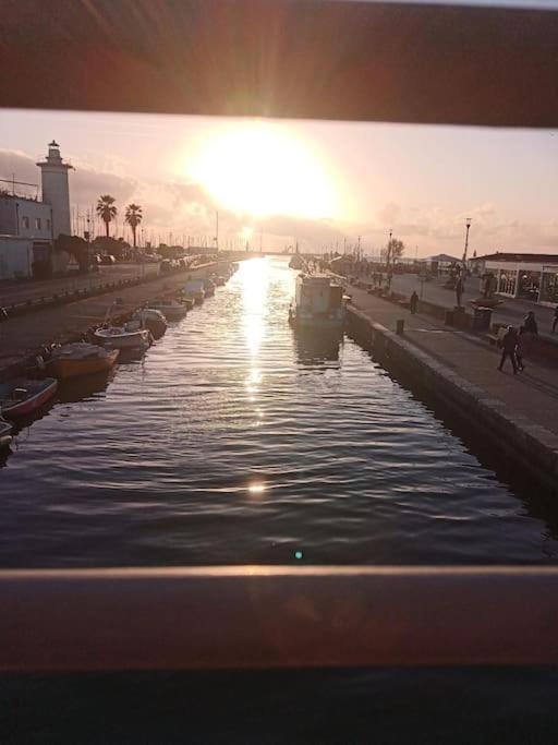 Mobile Home Viareggio - Including Airco- Camping Paradiso - G008 מראה חיצוני תמונה